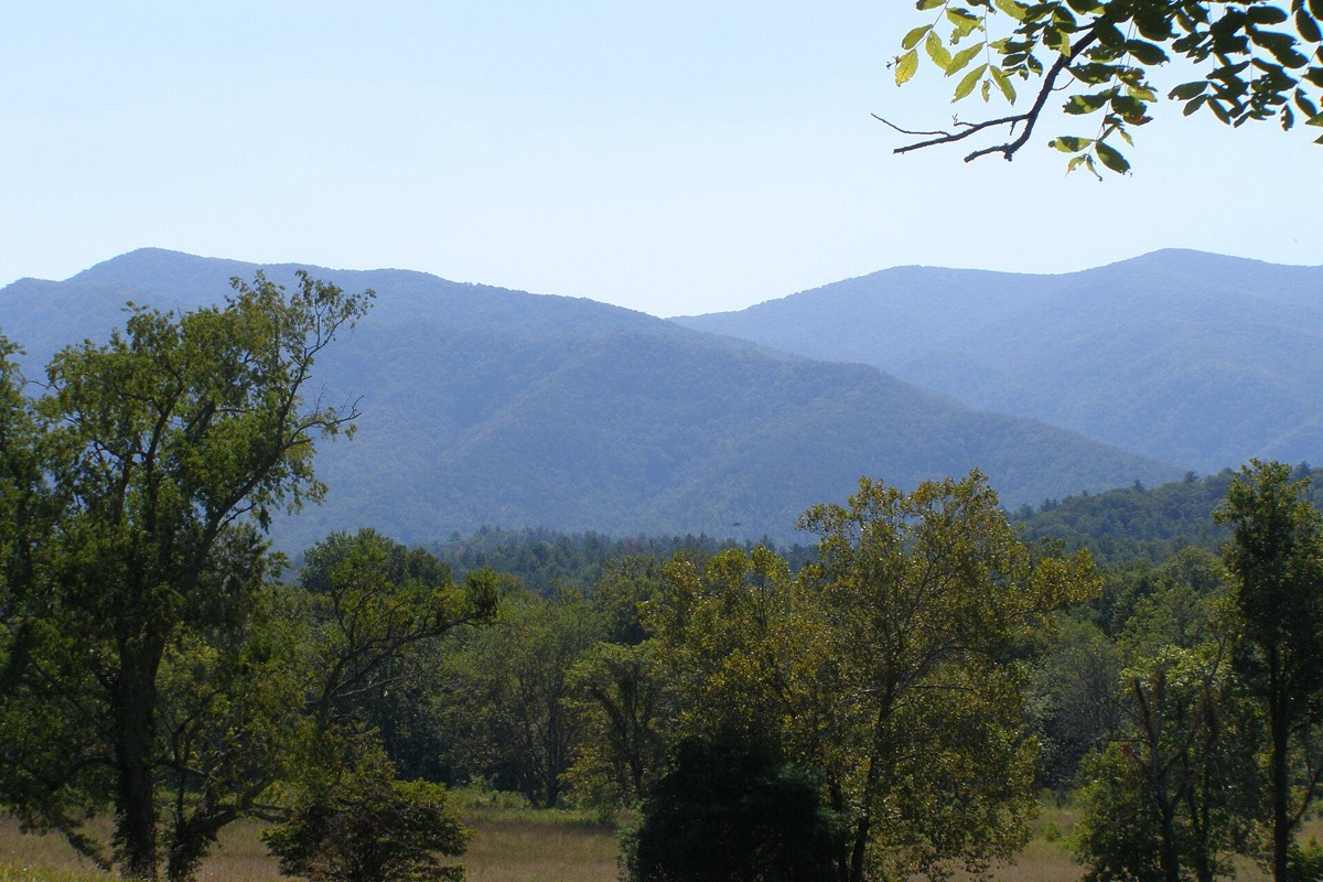 Blue ridge after blue ridge of the Tennessee mountains standing behind a broad green cove, mature trees scattered across the pasture in front and a branch of leaves hanging into the top of the frame.