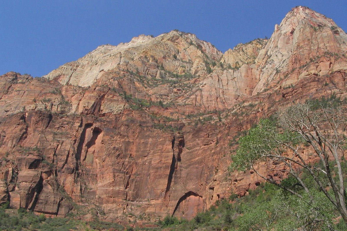 A great wall of red and cream Utah sandstone rising in sheer faces and rounded domes, with green cottonwoods and scrub along the foot of it under a clear sky.