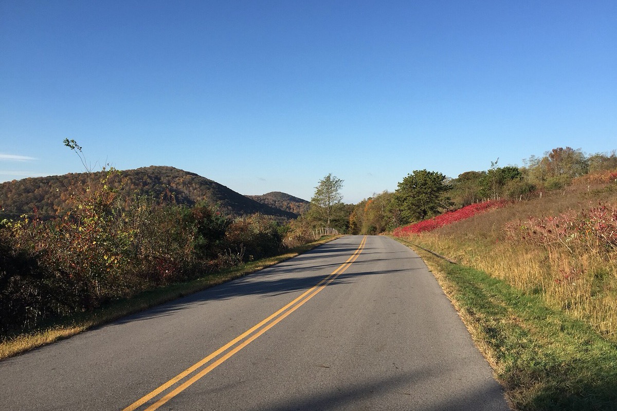 A Virginia ridge road curving away along the crest in early autumn, rust red grass and young trees on the verges and a rounded forested summit standing ahead under a clear sky.
