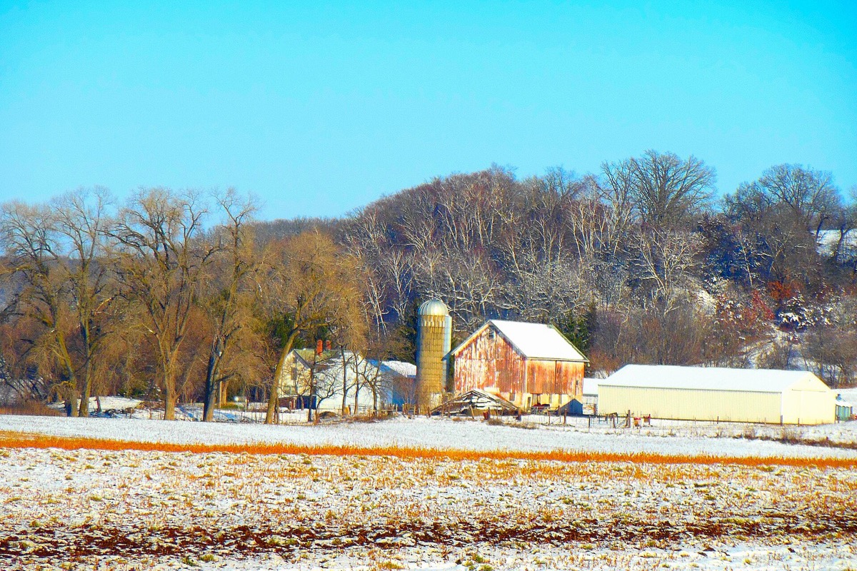 A Wisconsin dairy farm after a light snow, a weathered red barn and a concrete silo with pale sheds beside them, bare trees on the slope behind and stubble showing through the snow in front.