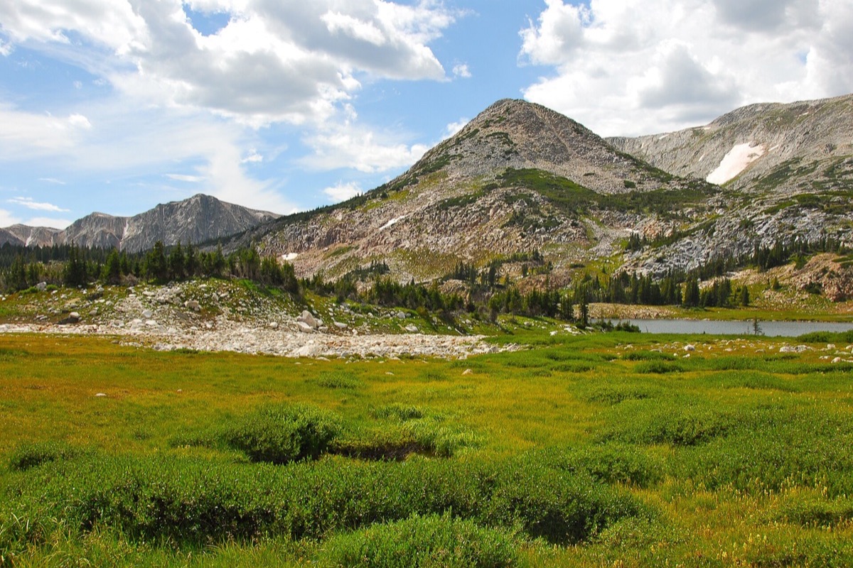 A green Wyoming meadow in high summer with a stream winding through it, a scatter of grey granite boulders across the floor and a bare rock peak with old snow in its gullies standing at the head of the valley.
