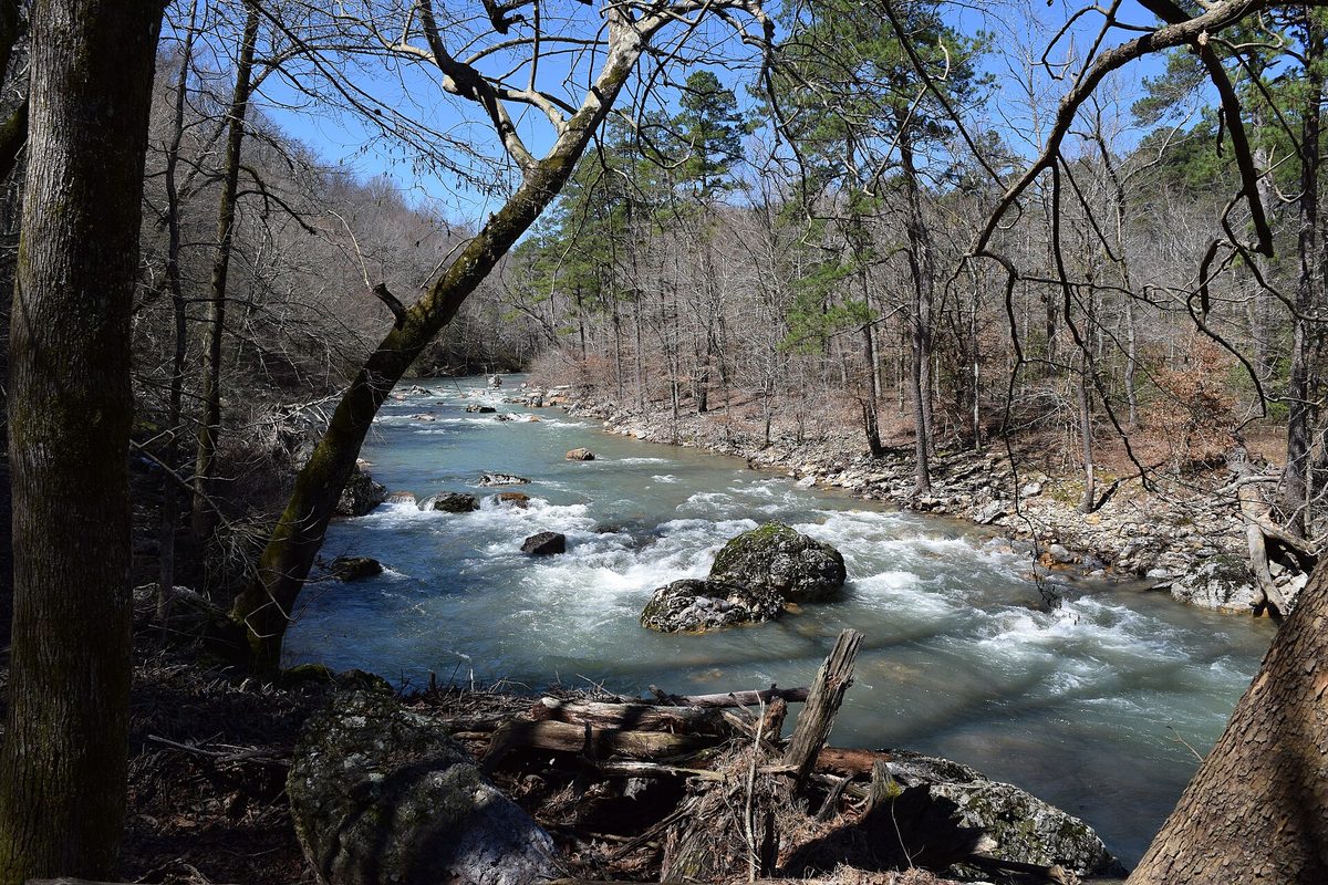 Whitewater rapids break around mossy boulders on an Arkansas river running through bare hardwoods and scattered pines under a blue sky.