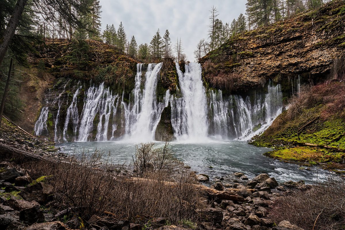 Burney Falls spills in wide white curtains over a mossy basalt cliff into a green plunge pool ringed by northern California conifers