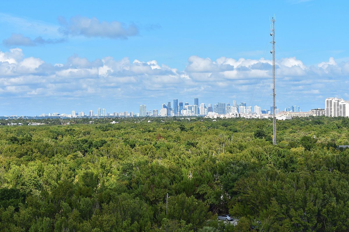 Downtown Miami's high-rise skyline on the horizon beyond a wide green tree canopy and a tall lattice radio tower in Florida.