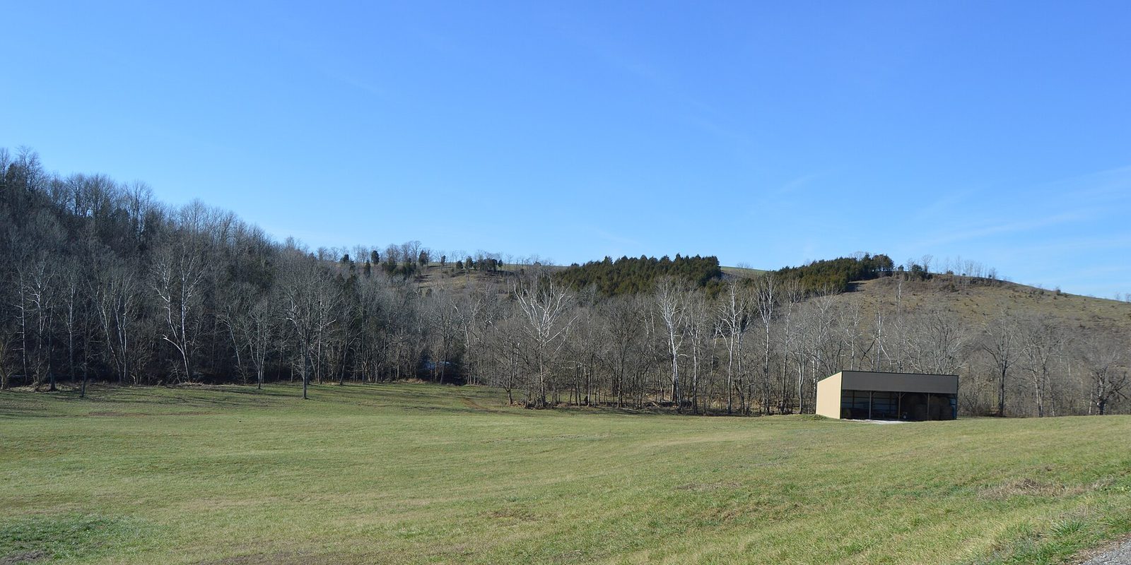A mown green pasture below a wooded ridge of bare winter trees, with an open-sided metal barn at the field edge under clear blue sky.