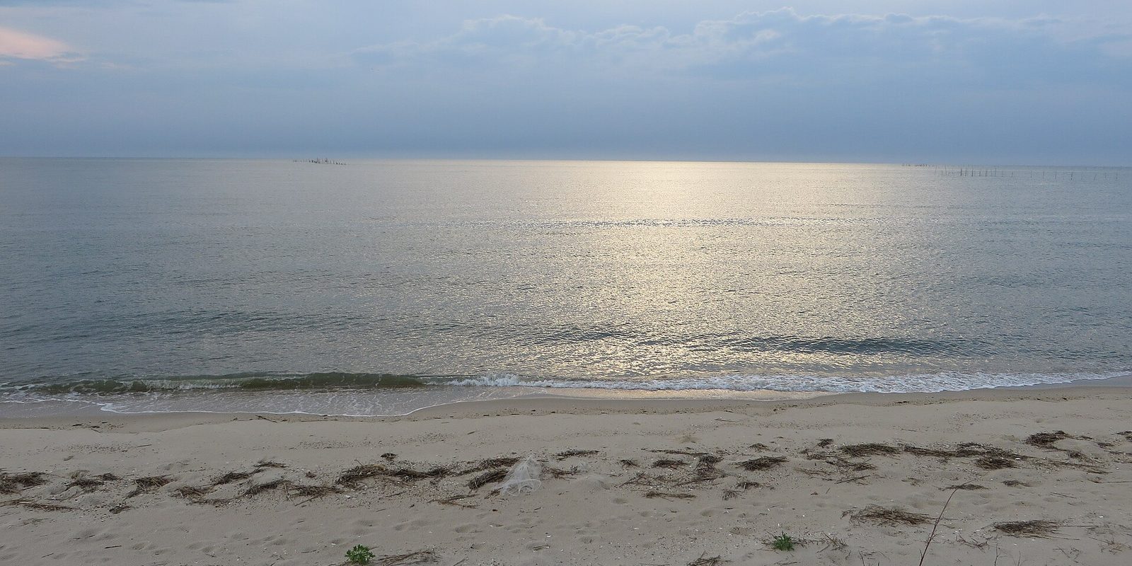 Calm water meeting a sandy beach at dusk, pale sunlight glinting off gentle ripples.