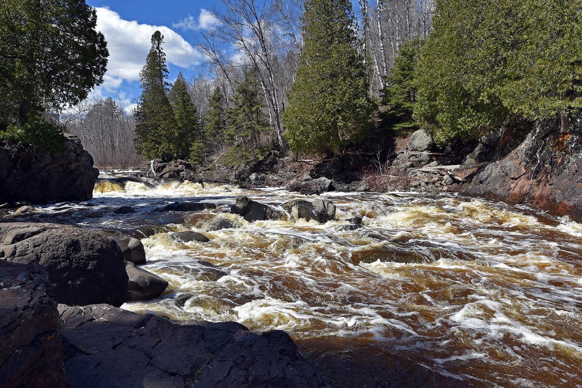 Tea-colored rapids churning over dark basalt ledges on a Minnesota river, lined with spruce and bare birches under a partly cloudy sky.