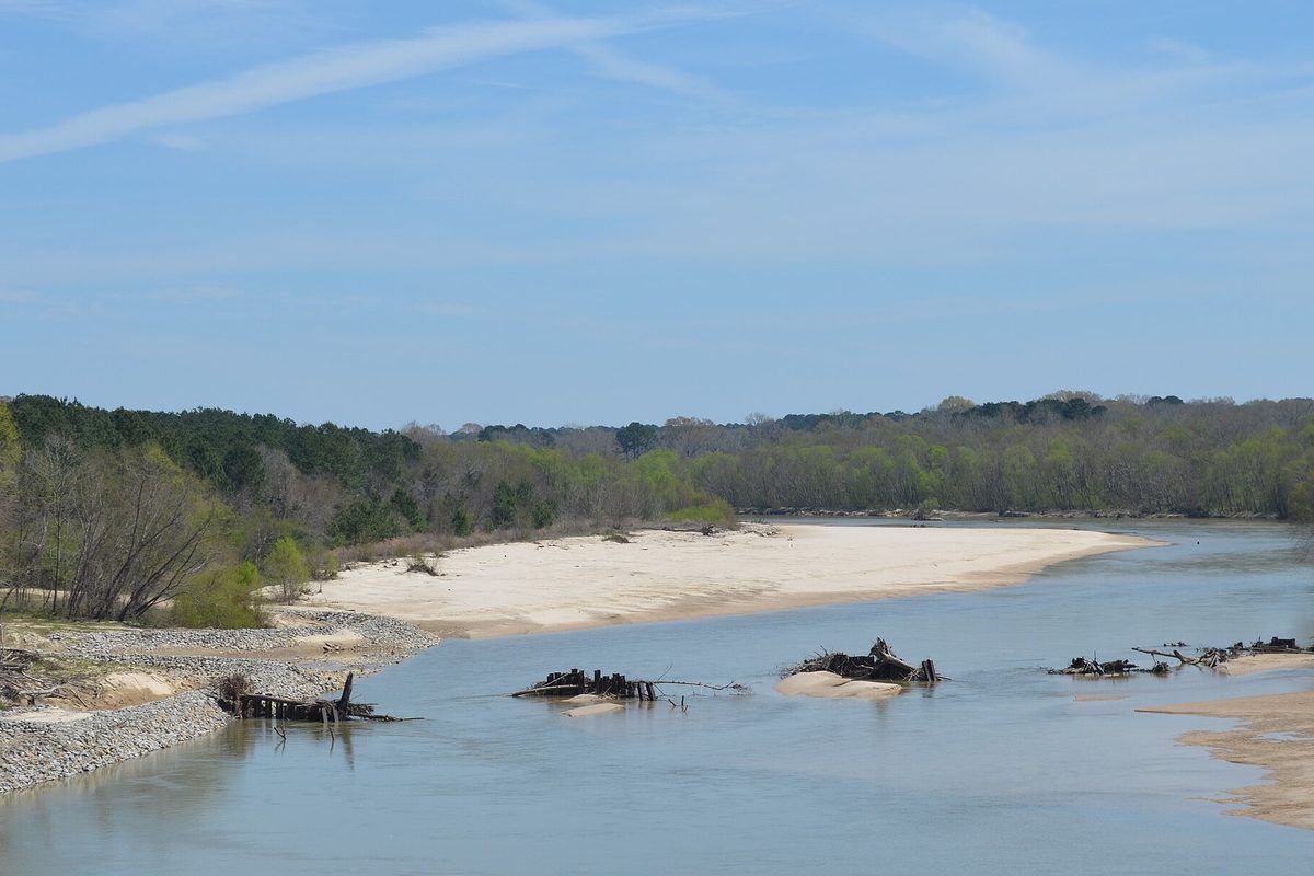 Wide, slow river in Mississippi with a pale sandbar, driftwood snags in the shallows, and a riprap bank below a low treeline under a blue sky.