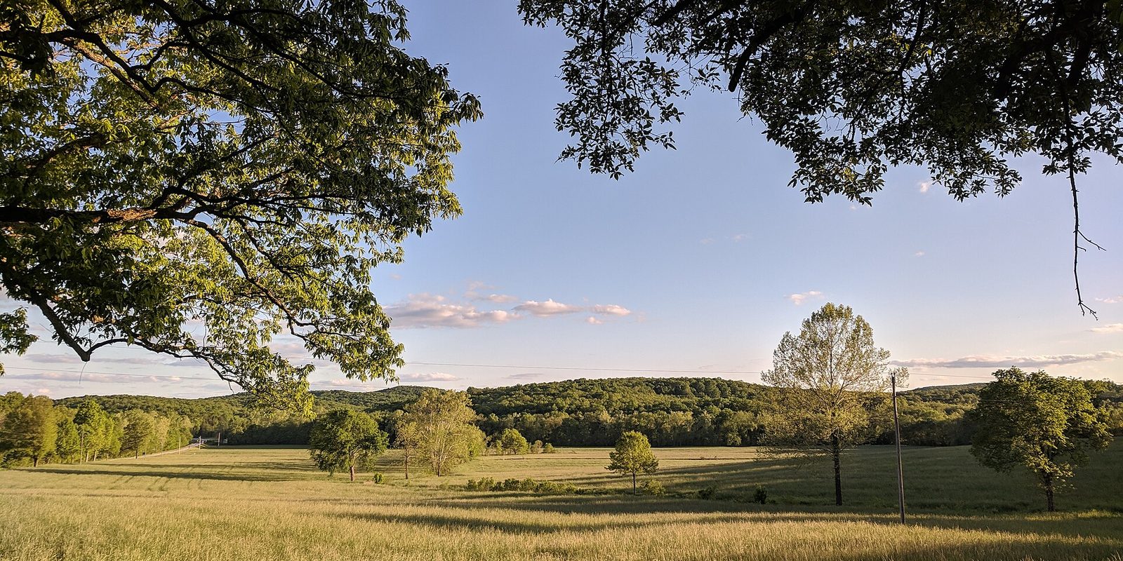 Overhanging tree branches frame a grassy meadow, scattered trees and low wooded hills at dusk