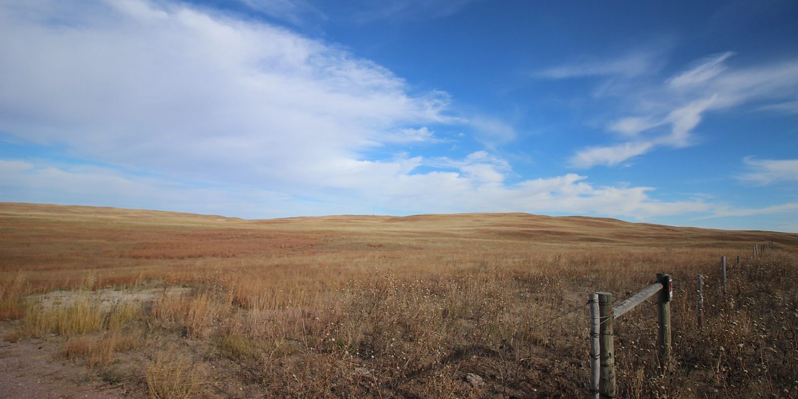 Open rolling grassland in dry gold and rust colours running to a low horizon under a big blue sky, with a wire fence along one side