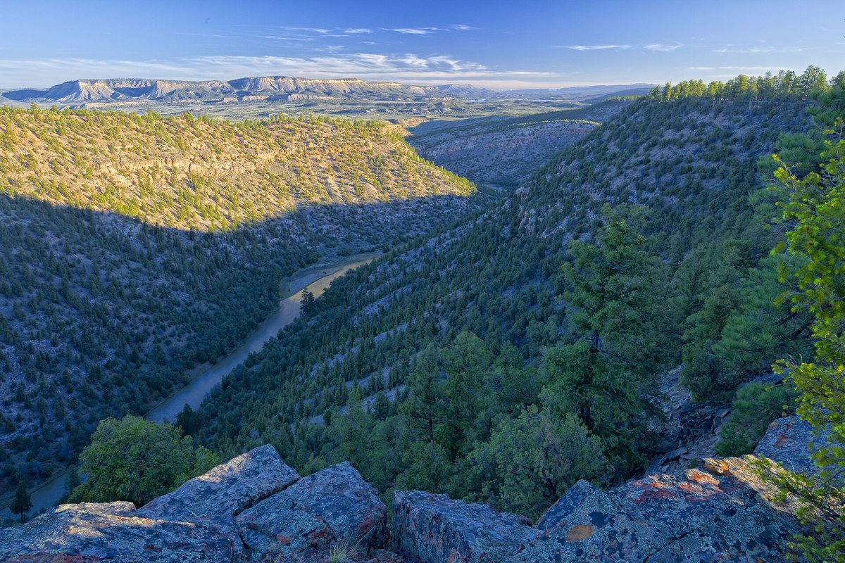 New Mexico: a river winds through a juniper-covered canyon toward flat-topped mesas, with low sun warming the ridge tops.
