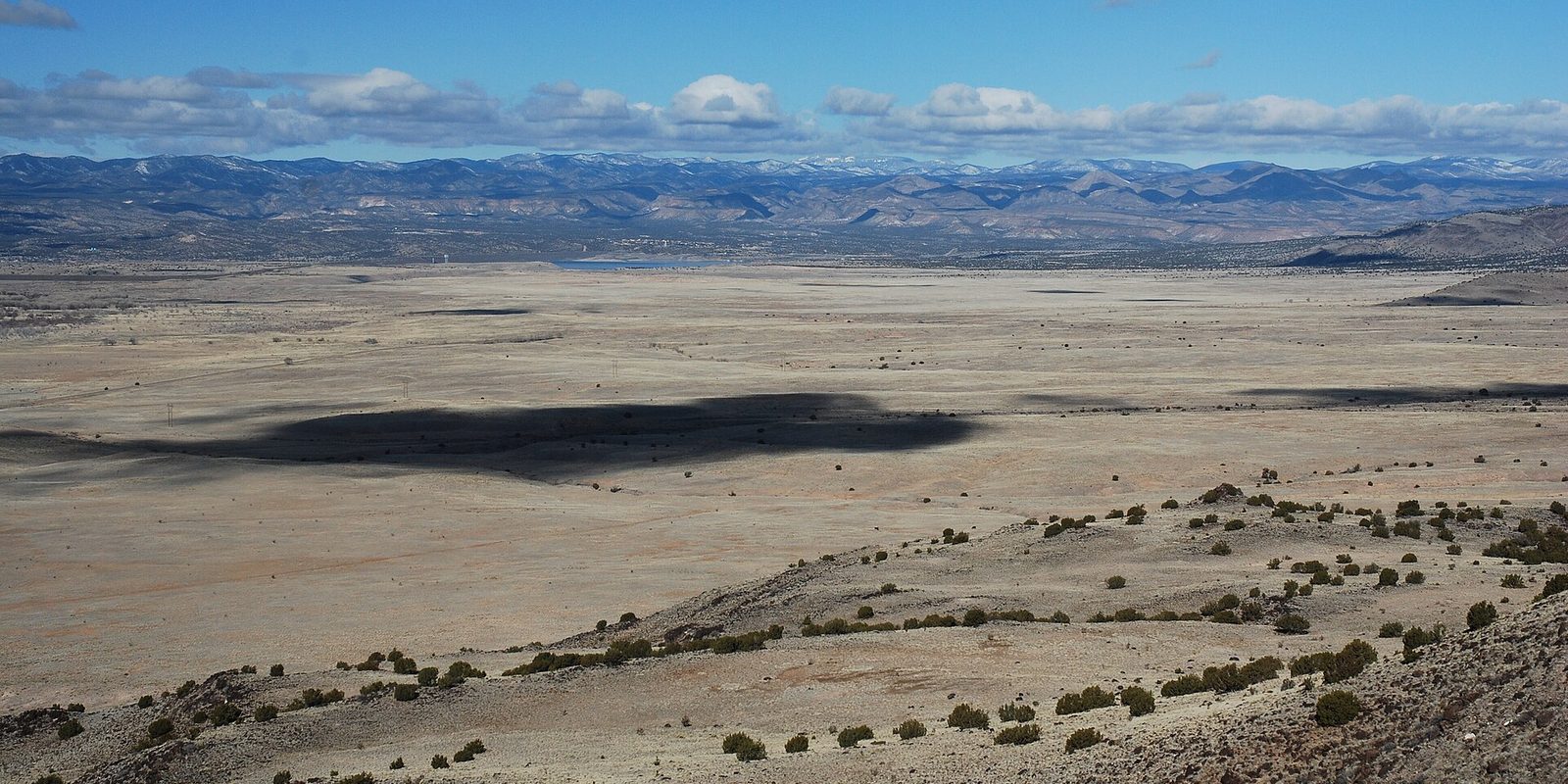 A wide pale desert basin dotted with low shrubs, with distant snow-dusted ranges under a bright blue sky.