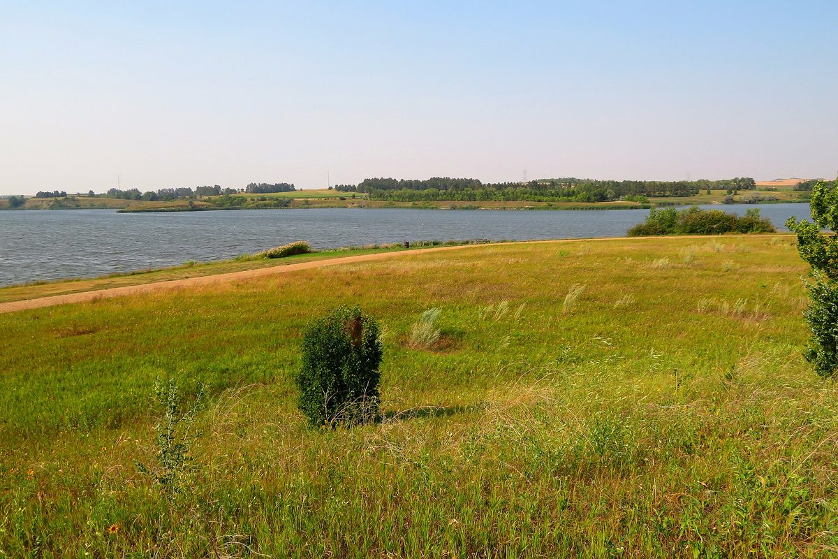 North Dakota lake edged by tall prairie grass and a curving gravel path, with a low tree-lined far shore under a clear sky.