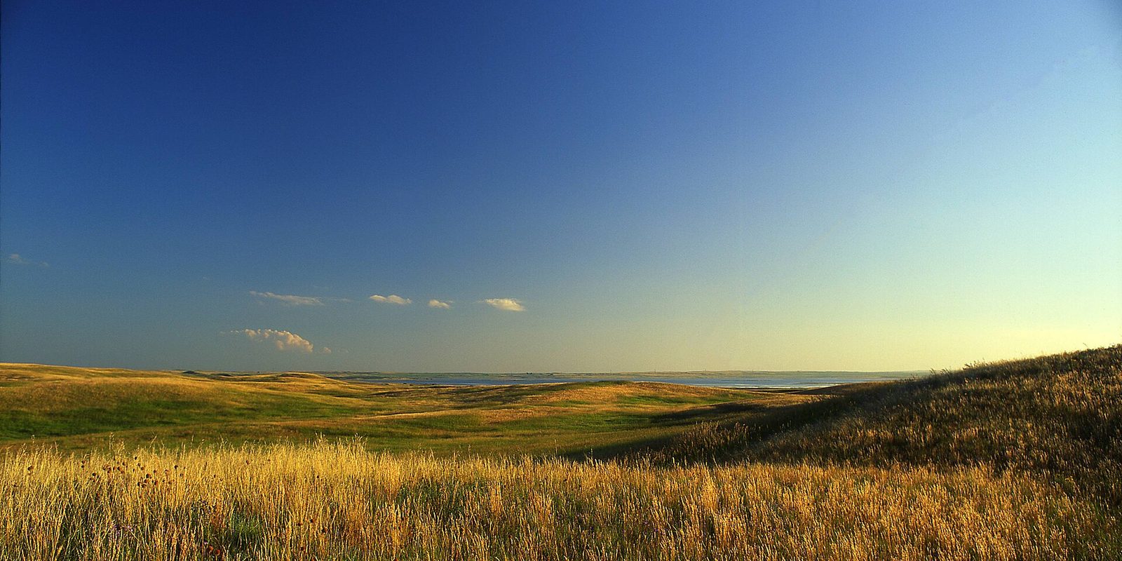 Golden grass on rolling prairie hills sloping toward distant water under a clear blue sky