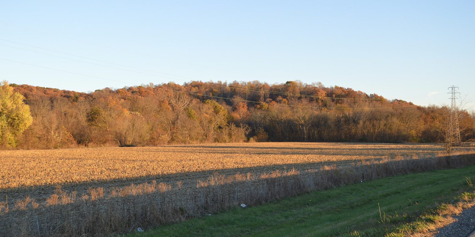 Harvested cornfield below a wooded ridge in autumn colour, with power lines crossing a clear sky.