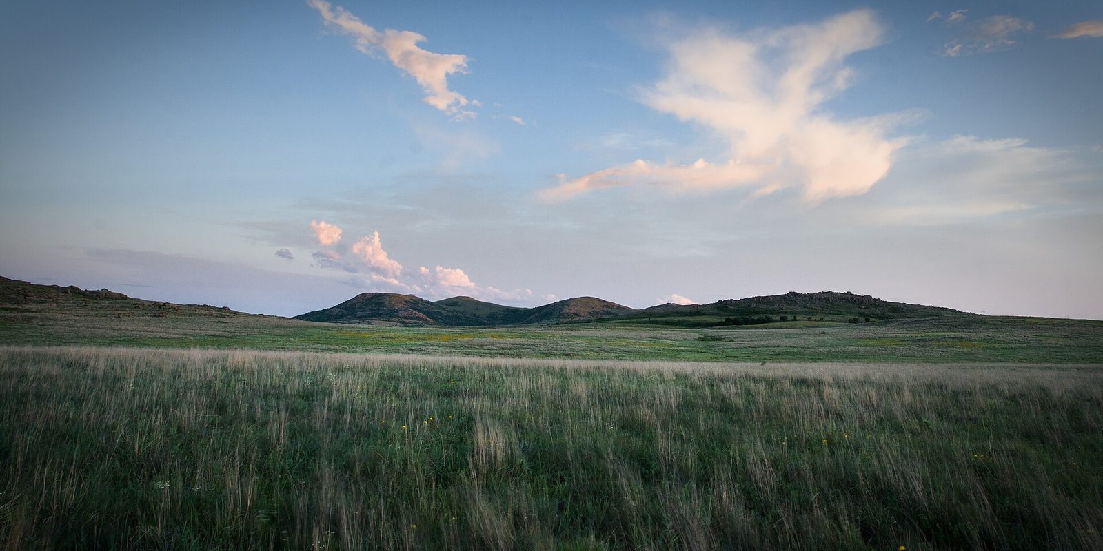 Windblown prairie grass stretching toward low rocky hills under a pale evening sky