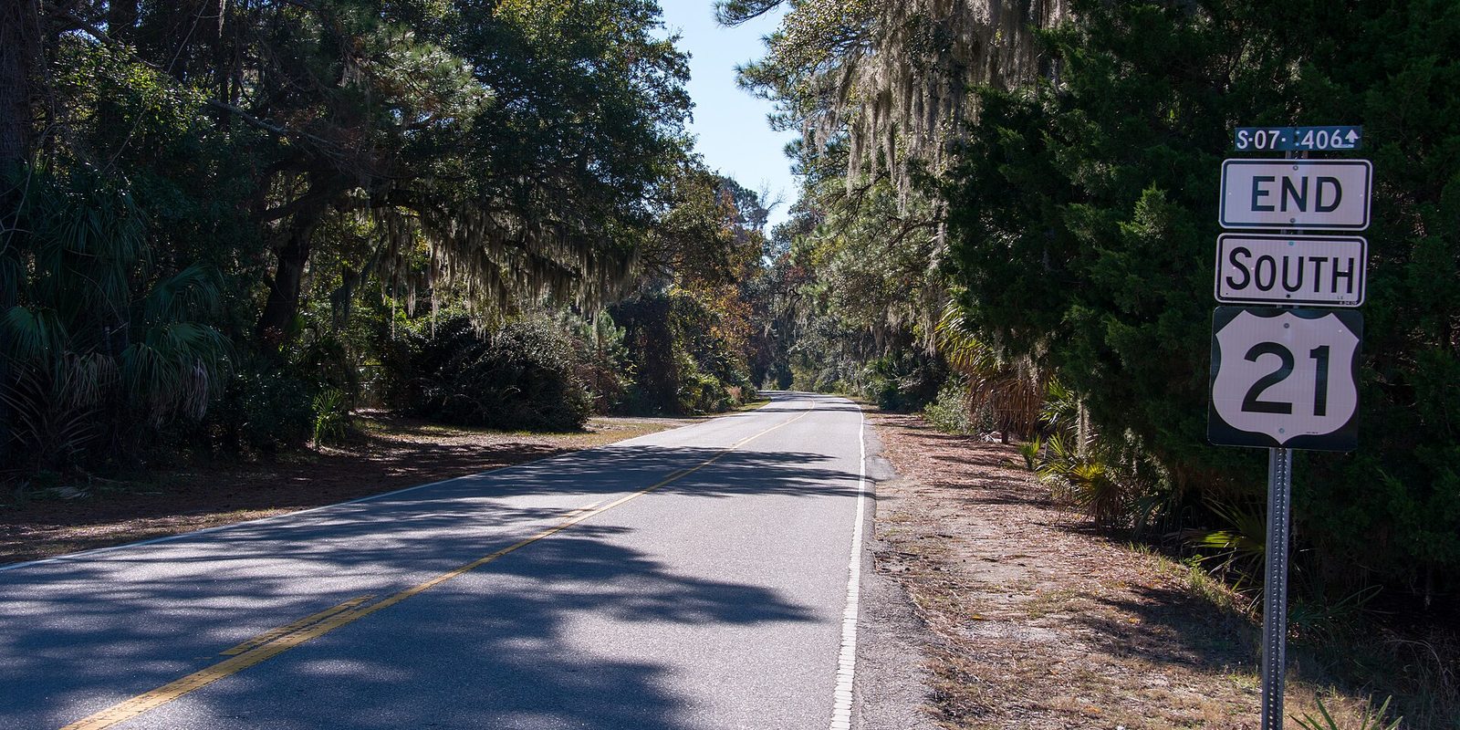 A quiet two-lane road running into a sunlit forest of moss-draped oaks and palmetto