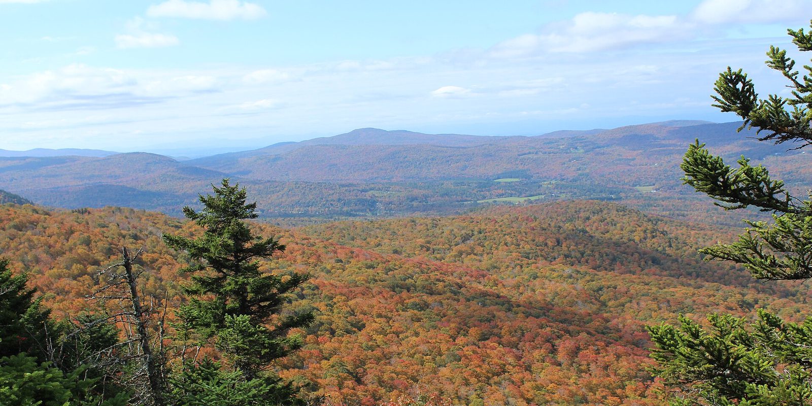 Rolling forested hills in autumn orange and gold, spruce boughs framing a hazy blue skyline.