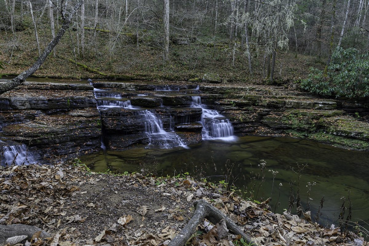 West Virginia creek spilling over stacked sandstone ledges into a green pool, ringed by leafless gray trees and brown leaf litter.