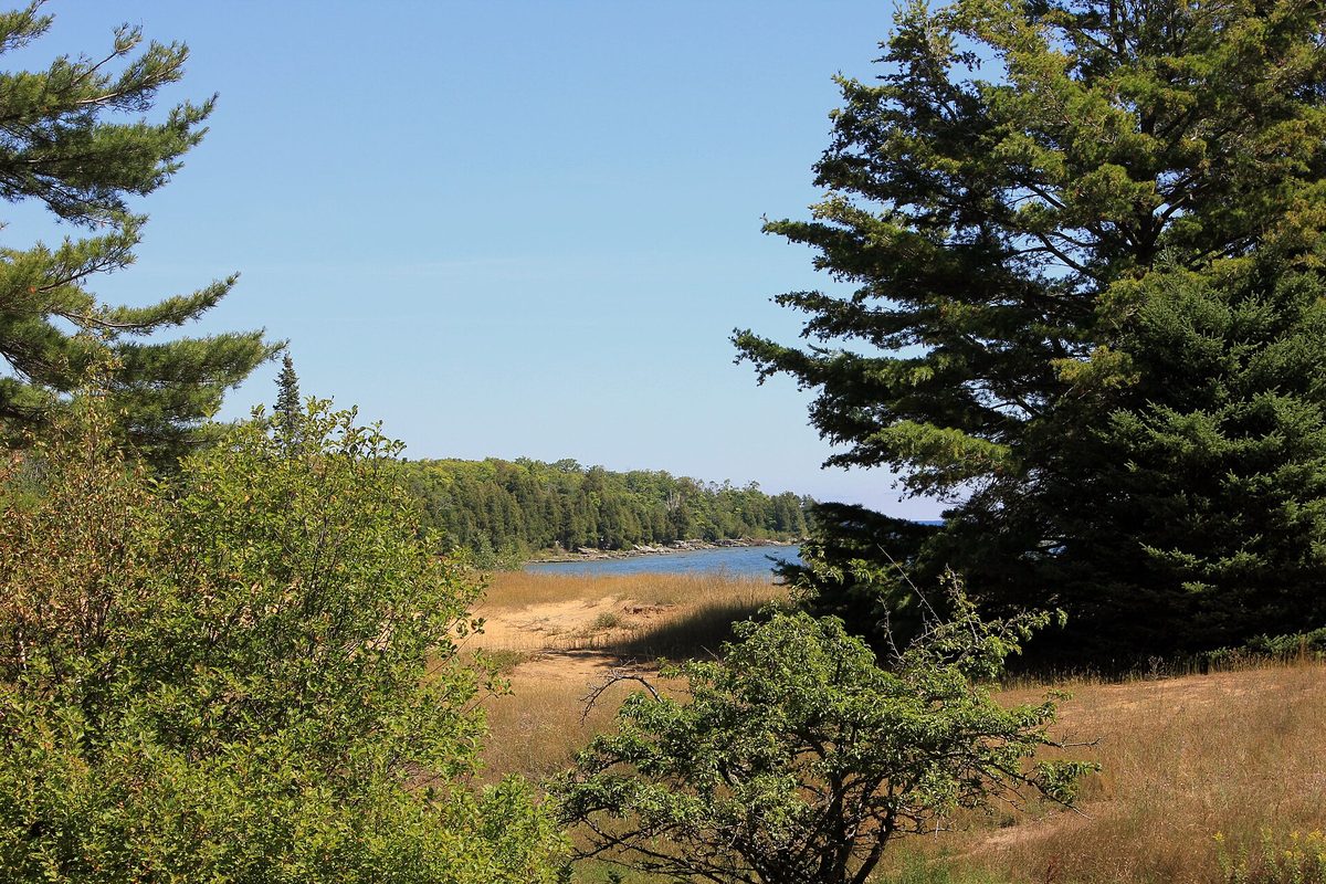 Wisconsin inlet framed by pines and cedars, with dry golden beach grass and sand running down to calm water and a wooded point beyond.