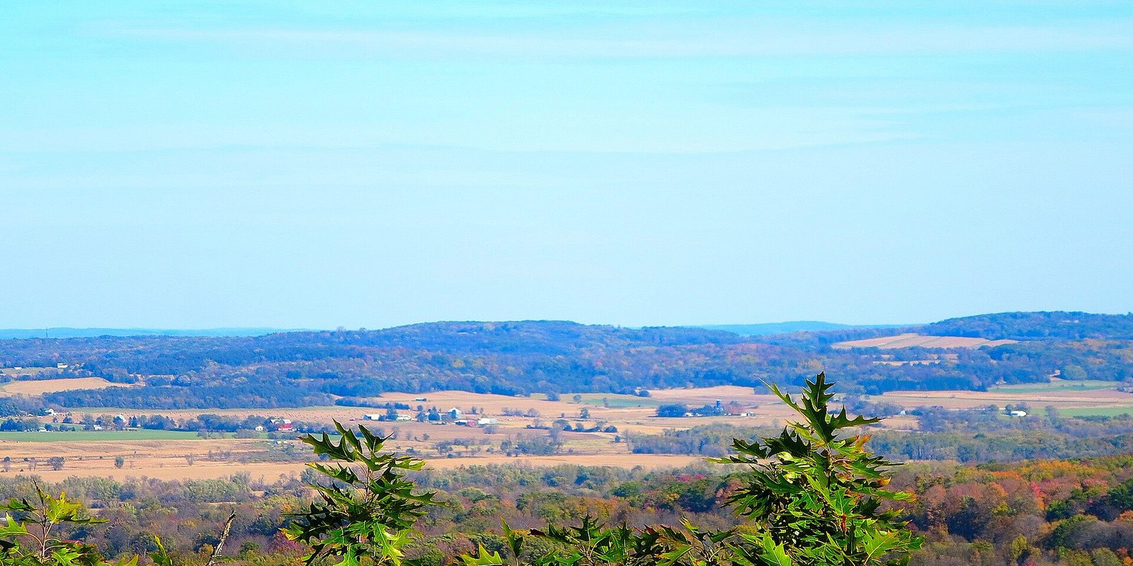 Oak leaves in the foreground above a patchwork of farm fields and low wooded ridges